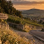 Route du champagne reims : route et vignes vers la vallée, phare de Verzenay au loin